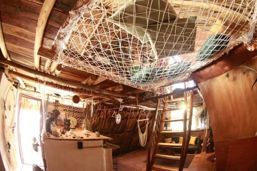 Jungla Bacalar Διαμέρισμα Εξωτερικό φωτογραφία
