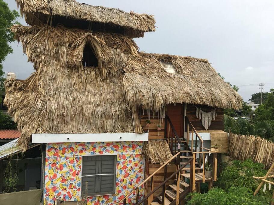 Jungla Bacalar Διαμέρισμα Εξωτερικό φωτογραφία