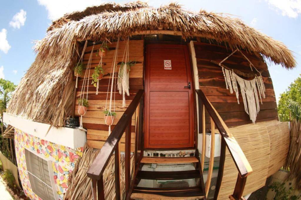 Jungla Bacalar Διαμέρισμα Εξωτερικό φωτογραφία