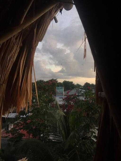 Jungla Bacalar Διαμέρισμα Εξωτερικό φωτογραφία