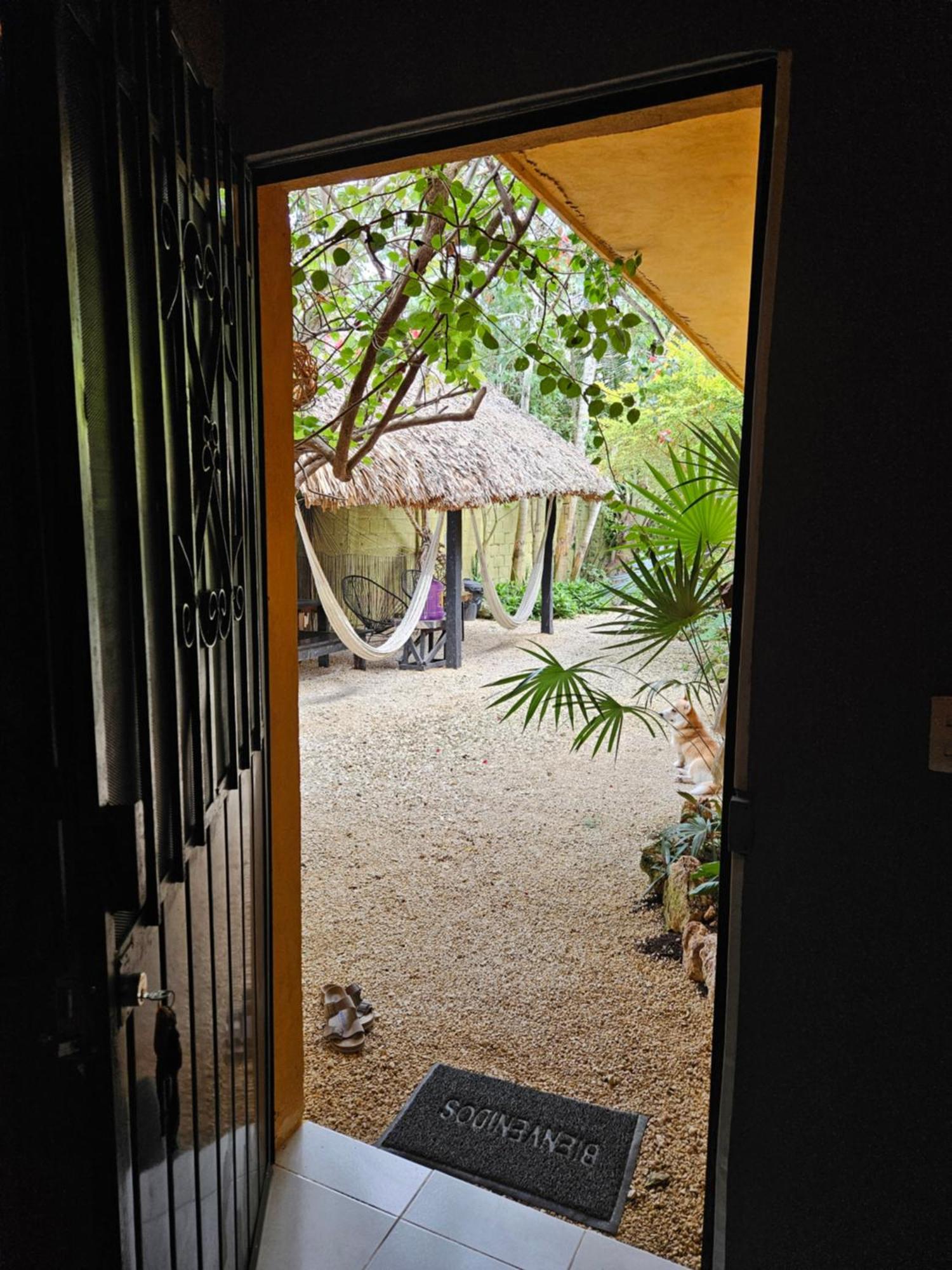 Jungla Bacalar Διαμέρισμα Εξωτερικό φωτογραφία