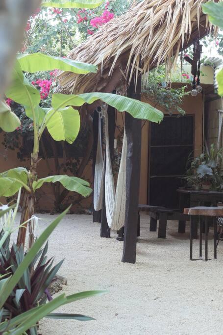 Jungla Bacalar Διαμέρισμα Εξωτερικό φωτογραφία