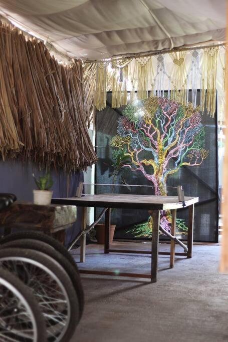 Jungla Bacalar Διαμέρισμα Εξωτερικό φωτογραφία