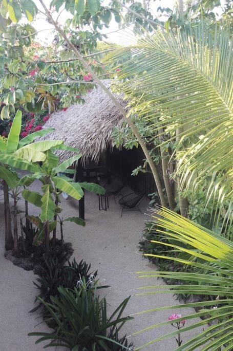 Jungla Bacalar Διαμέρισμα Εξωτερικό φωτογραφία