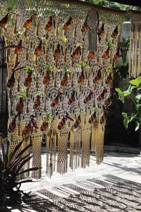 Jungla Bacalar Διαμέρισμα Εξωτερικό φωτογραφία