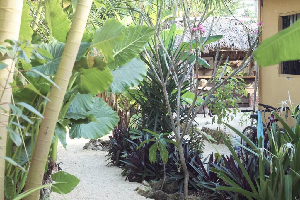 Jungla Bacalar Διαμέρισμα Εξωτερικό φωτογραφία