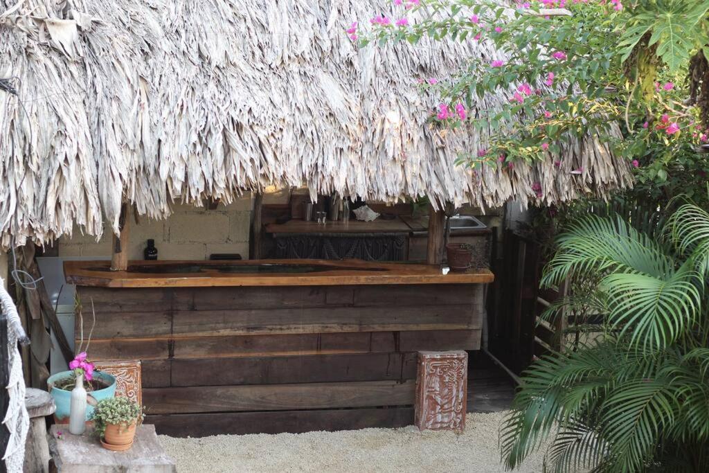 Jungla Bacalar Διαμέρισμα Εξωτερικό φωτογραφία